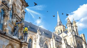 entreprise spécialisée dans le nettoyage des fientes de pigeons pour les églises dans le tarn (81), offrant un service professionnel et respectueux du patrimoine.
