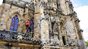 entreprise spécialisée dans le nettoyage des fientes de pigeons pour églises en tarn et garonne (82). service professionnel et efficace pour préserver la propreté et la sécurité de vos bâtiments religieux.