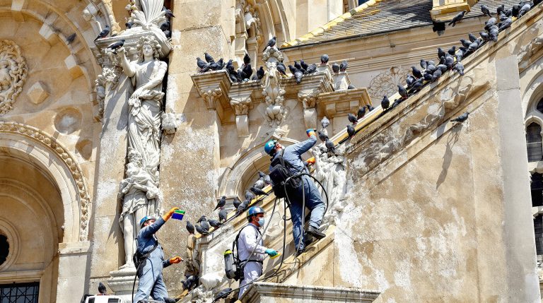 service professionnel de nettoyage des fientes de pigeons pour églises dans le var (83). intervention rapide et efficace pour préserver la propreté et l'intégrité de vos bâtiments religieux.