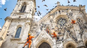 entreprise spécialisée dans le nettoyage des fientes de pigeons pour églises dans le vaucluse (84), assurant propreté et respect du patrimoine.