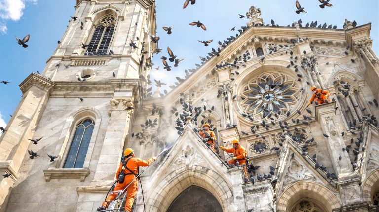 entreprise spécialisée dans le nettoyage des fientes de pigeons pour églises dans le vaucluse (84), assurant propreté et respect du patrimoine.