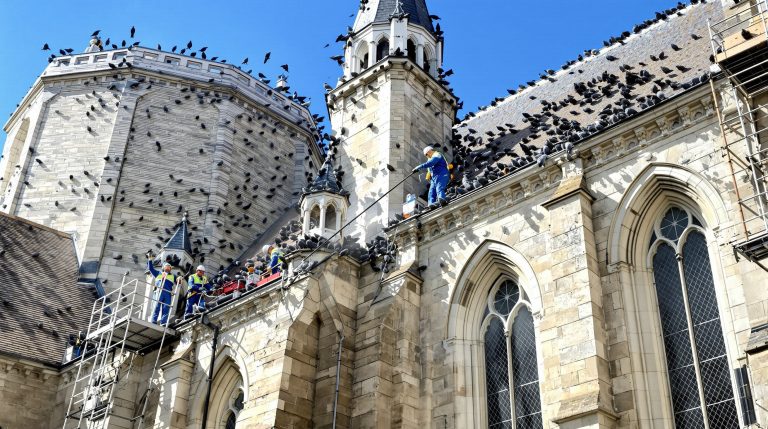 entreprise spécialisée dans le nettoyage des fientes de pigeons pour églises en vendée (85), offrant des services professionnels et efficaces pour préserver la propreté et l'intégrité des bâtiments religieux.