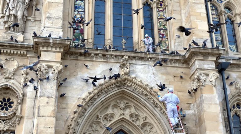 service professionnel de nettoyage des fientes de pigeons pour églises à vienne (86). solutions efficaces et respectueuses pour préserver la propreté et l'intégrité de votre bâtiment.