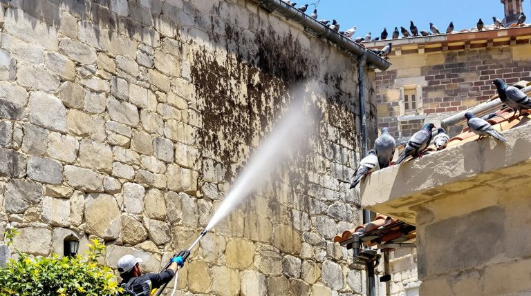 entreprise spécialisée en nettoyage haute pression des fientes de pigeons dans le tarn et garonne (82). service rapide et efficace pour un environnement propre et sain.