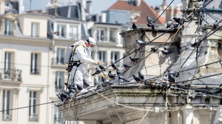 entreprise de défientage professionnel offrant des services experts partout en france pour répondre à vos besoins spécifiques.