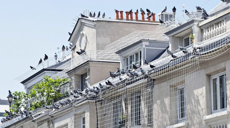 entreprise spécialisée en défientage, sanitation et hygiène des bâtiments, proposant des services professionnels partout en france pour assurer des locaux propres et sains.