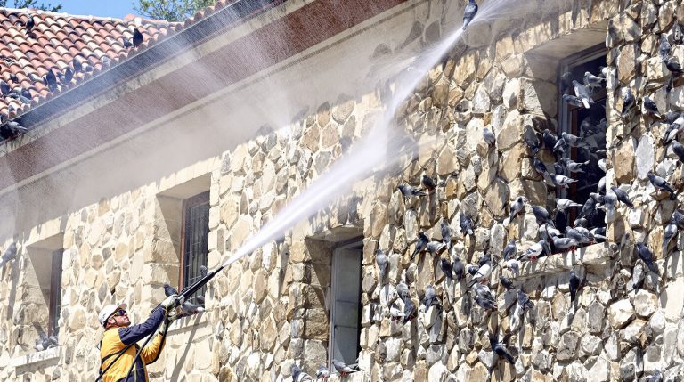 service professionnel de nettoyage haute pression spécialisé dans l'élimination des fientes de pigeons, situé dans les alpes de haute provence (04). nettoyage efficace et respectueux de l'environnement pour préserver vos bâtiments.