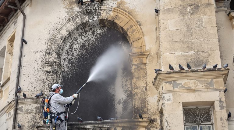entreprise spécialisée en nettoyage haute pression pour éliminer efficacement les fientes de pigeons en ardèche (07). service professionnel et rapide pour préserver vos surfaces.