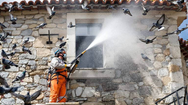entreprise spécialisée en nettoyage haute pression pour éliminer les fientes de pigeons en ariège (09). service efficace et professionnel pour préserver la propreté de vos surfaces.