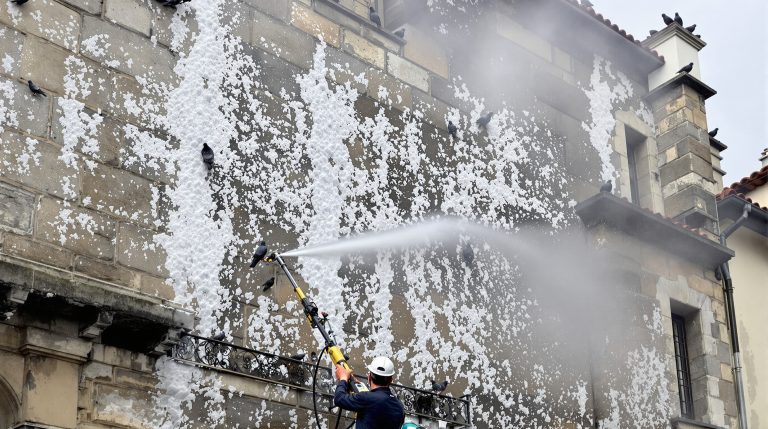 entreprise spécialisée en nettoyage haute pression pour éliminer efficacement les fientes de pigeons dans le cantal (15). service professionnel et fiable pour protéger vos surfaces.