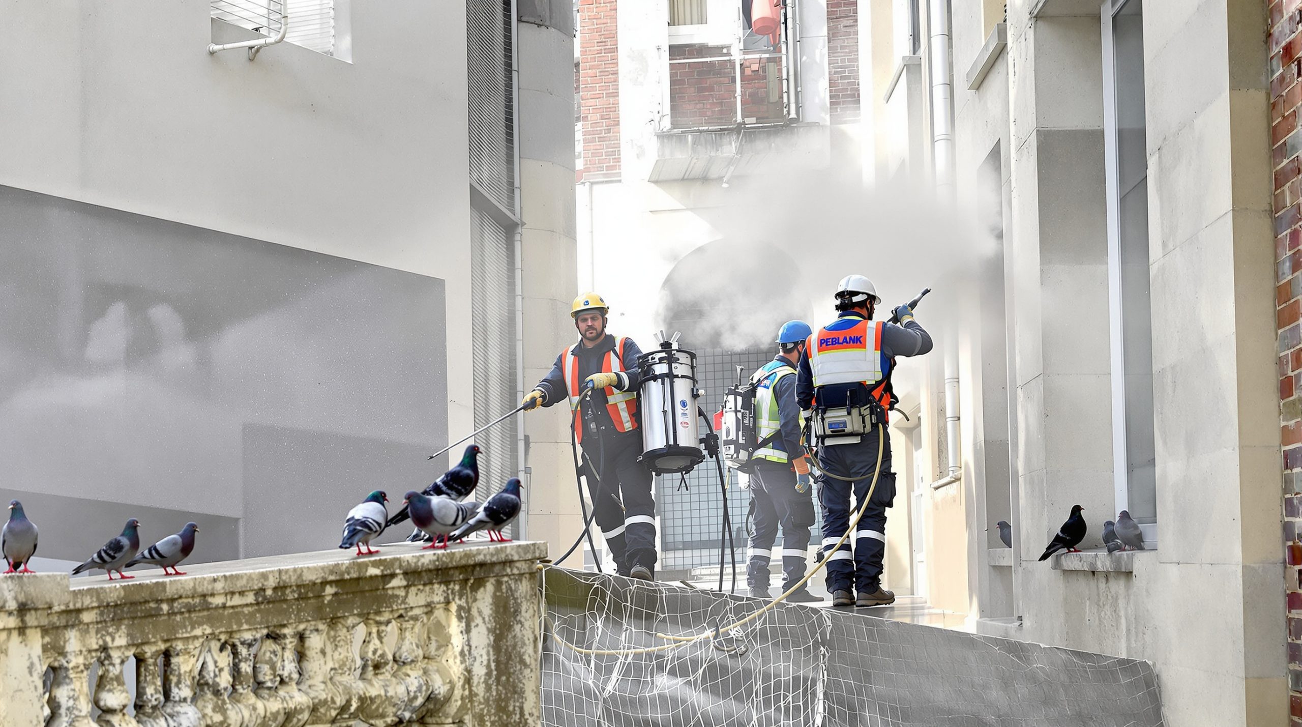 entreprise spécialisée en nettoyage haute pression pour éliminer efficacement les fientes de pigeons dans l'eure (27). service rapide et professionnel pour un environnement propre et sain.