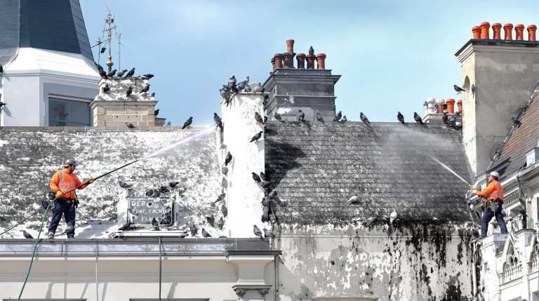 entreprise spécialisée en nettoyage haute pression pour éliminer efficacement les fientes de pigeons en eure-et-loir (28). services professionnels pour préserver la propreté et la durabilité de vos surfaces.