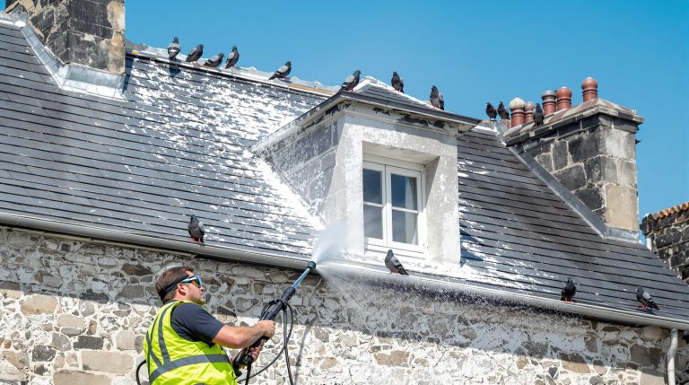 spécialiste du nettoyage haute pression pour éliminer efficacement les fientes de pigeons dans le finistère (29). service rapide et professionnel pour un environnement propre et sain.