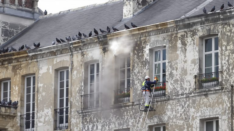 service professionnel de nettoyage haute pression pour éliminer les fientes de pigeons en ille-et-vilaine (35). nettoyage efficace et durable pour préserver la propreté de vos bâtiments.