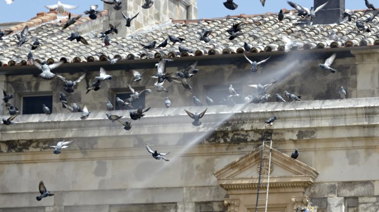 entreprise spécialisée en nettoyage haute pression pour éliminer efficacement les fientes de pigeons dans le lot et garonne (47). service professionnel et rapide pour préserver la propreté de vos locaux.