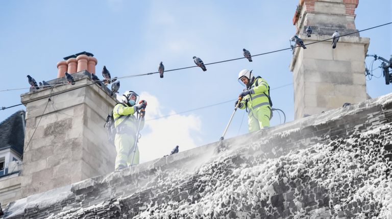 entreprise spécialisée en nettoyage haute pression pour éliminer efficacement les fientes de pigeons en mayenne (53). intervention rapide et résultats garantis.