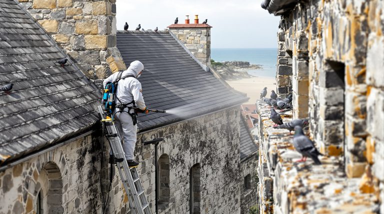 service professionnel de nettoyage haute pression spécialisé dans l’élimination des fientes de pigeons en morbihan (56). nettoyage efficace et respectueux de l’environnement pour préserver la propreté et l’hygiène de vos surfaces.