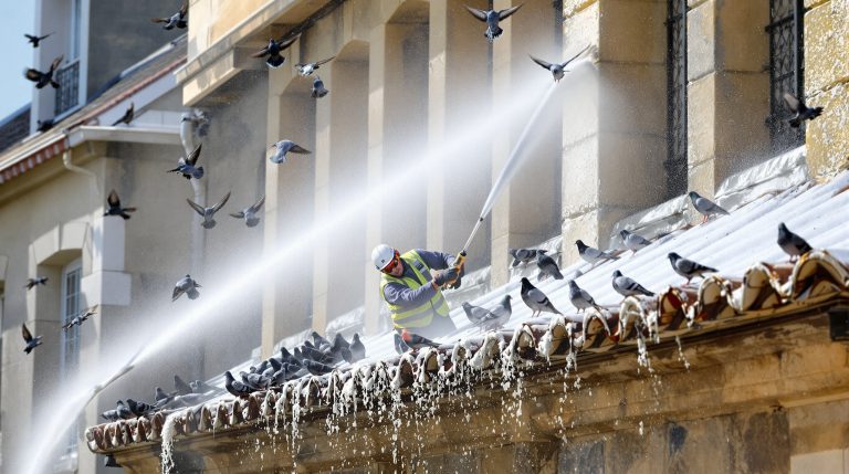 entreprise spécialisée en nettoyage haute pression pour éliminer efficacement les fientes de pigeons en vendée (85). service professionnel et rapide pour la protection de vos bâtiments.