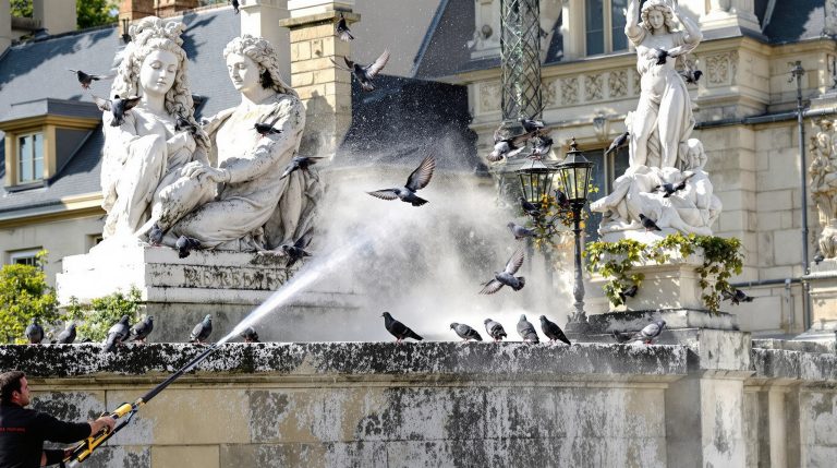 entreprise spécialisée en nettoyage haute pression pour éliminer efficacement les fientes de pigeons dans l'yonne (89). services rapides et professionnels pour préserver la propreté et l'hygiène de vos bâtiments.